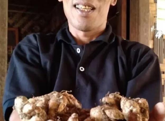 Sistem Tanam Tumpang Sari, Kencur Jadi Andalan Warga Baduy (foto: istimewa)