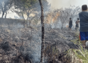 Cuaca Ekstrim, Lahan Kosong Di Kawasan Jababeka Terbakar, Nyaris Mengenai Rumah Warga