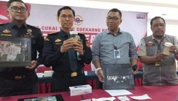 Bea Cukai Bandara Soetta Gagalkan Upaya Penyeludupan Puluhan Ribu Benih Lobster Seharga Rp 5 Miliar