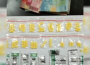 Kedapatan Jual Narkoba, Pedagang Hewan Melata Diringkus Satnarkoba Polres Serang