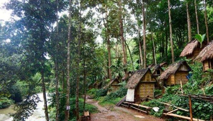 Pemprov Banten Minta Ratusan Hektare Lahan Dikeluarkan Dari Zona Kawasan Hutan