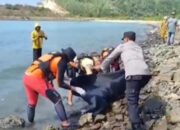 Tiga Mayat Tanpa Kepala Ditemukan Warga Di Pesisir Pantai Lampung