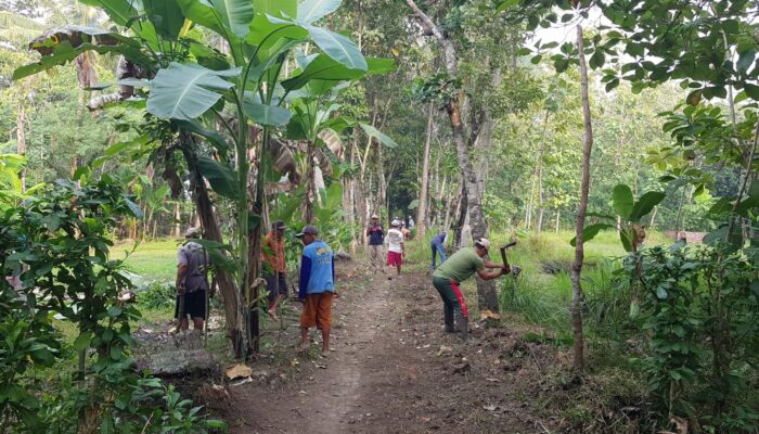 Alih-alih Pelebaran Jalan, Oknum Kades Diduga Serobot Tanah Milik Warga di Pemalang
