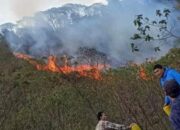 Terkini, Kebakaran Hutan di Gunung Papandayan Garut, Petugas Berjibaku Padamkan Api