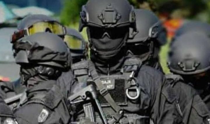 (Foto: istimewa (Instagram @pelambangkulukilir)