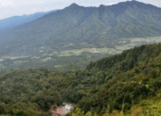 Cegah Kebakaran Hutan, 3 Jalur Pendakian Gunung Di Pandeglang Banten Ditutup Sementara