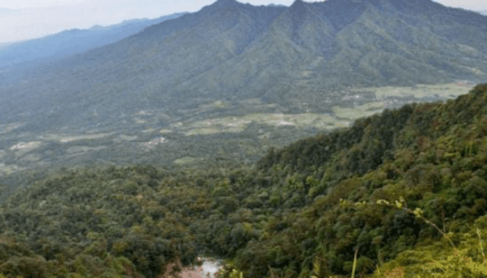 Cegah Kebakaran Hutan, 3 Jalur Pendakian Gunung Di Pandeglang Banten Ditutup Sementara