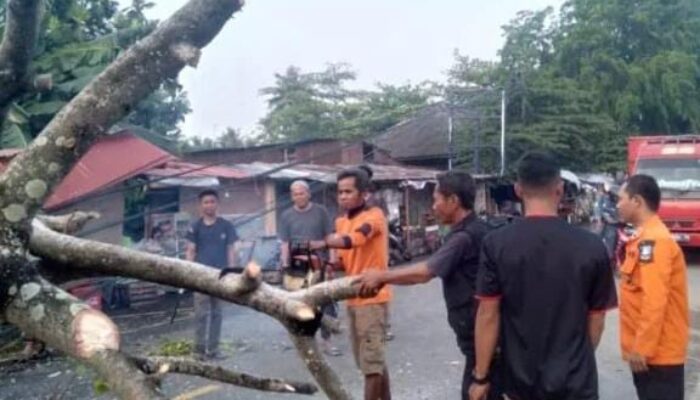 Pedagang Durian Tewas Tertimpa Pohon Tumbang saat Hujan Lebat di Serang