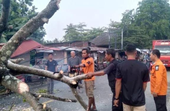 Petugas Badan Penanggulangan Bencana Daerah (BPBD) Kabupaten Serang, mengevakuasi pohon tumbang di Jalan Raya Anyar, Desa Cikoneng, Kecamatan Anyar, Kamis 26 Oktober 2023. (Foto : Daeng Yusvin)