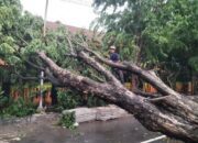 Waspada Bencana Hidrometeorologi, BPBD Lebak Banten Siapkan Langkah Mitigasi