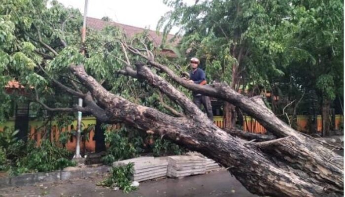 Waspada Bencana Hidrometeorologi, BPBD Lebak Banten Siapkan Langkah Mitigasi