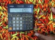 Jelang Nataru Harga Cabai di Banten Makin ‘Pedas’