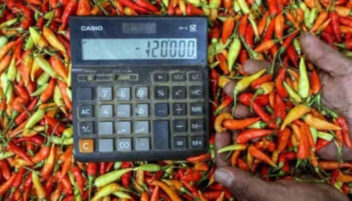Jelang Nataru Harga Cabai di Banten Makin ‘Pedas’