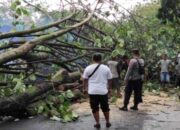 Warning! BPBD Banten Imbau Warga Waspada Angin Kencang dan Hujan Deras