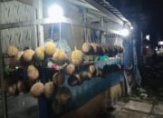 Mau Duren Kualitas Bagus Ada di Jalangagak Subang