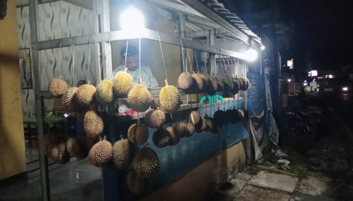 Mau Duren Kualitas Bagus Ada di Jalangagak Subang