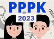 Pengumuman P3K Guru Ditunda, P1 Resah