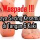 ILustrasi. (Foto : Istimewa)