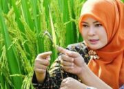 Strategi Antisipasi Krisis Pangan, DPKP Pandeglang Lakukan Gerakan Pangan Murah