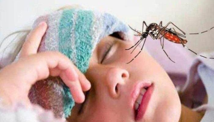 Kasus DBD di Lebak Banten Meningkat, 4 Warga Meninggal Dunia