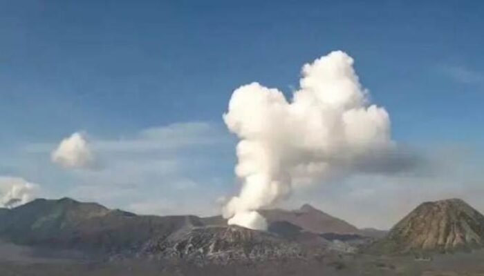 Asap Putih Membubung Setinggi 700 Meter, PVMBG : Gunung Bromo status Waspada