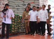 Pj Gubernur Banten Dampingi Presiden RI Joko Widodo Tinjau Ketersediaan Beras