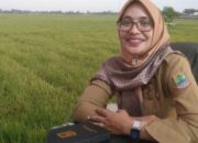 UPTD Pertanian dan Ketahanan Pangan Rengasdengklok Pastikan 2024 Aman dari Kelangkaan Pupuk dan Kekeringan