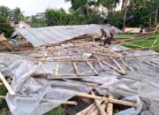 Penyebab Angin Puting Beliung di Pandeglang Banten, Ini Penjelasan BPBD