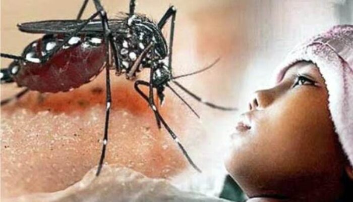 1.619 Warga Banten Terserang DBD, 8 Orang Meninggal