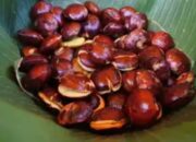 Penggemar Jengkol Perlu Tahu Manfaat dan Efek Sampingnya untuk Kesehatan, Ini Rinciannya