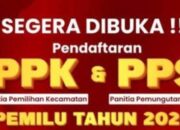 Rekrutmen PPK, PPS dan KPPS Pilkada 2024, Ini Jadwal dan Syaratnya