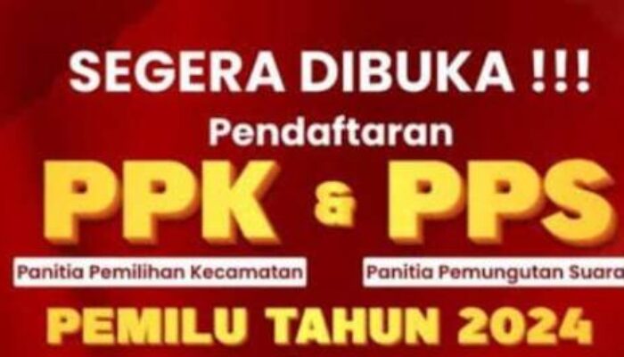 Rekrutmen PPK, PPS dan KPPS Pilkada 2024, Ini Jadwal dan Syaratnya