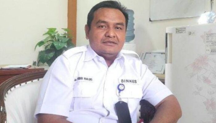Komitmen Melayani Pemudik, Dinkes Cilegon Siapkan 6 Posko Kesehatan