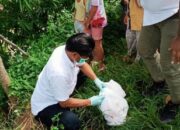 Hari Kedua Puasa, Warga Serang Banten Digegerkan Penemuan Mayat Bayi di Saluran Irigasi Sait Masjid Kragilan