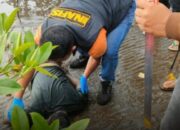 Terkuak, Identitas Mr X di Muara PLTU Banten 2 Labuan, Ternyata Pelajar SMAN 9 Pandeglang