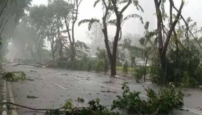 Waspada! Hujan Deras, Angin Kencang dan Petir di Sejumlah Provinsi, Termasuk Banten