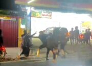 3 dari 8 Pelaku Sudah Ditangkap, Kapolda Banten Ultimatum Pelaku Pengeroyok Ustadz Segera Serahkan Diri