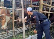 Jelang Idul Adha di Cilegon, Hewan Kurban Yang Dijual Dilakukan Pemeriksaan Kesehatan