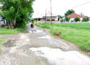 Rusak Parah, Jalan Desa Kampung Utan Soga Kabupaten Bekasi Bertahun-tahun Tidak Ada Perbaikan