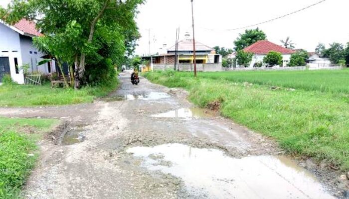 Rusak Parah, Jalan Desa Kampung Utan Soga Kabupaten Bekasi Bertahun-tahun Tidak Ada Perbaikan