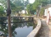 Sungai Irigasi di Sukamantri Bau dan Berubah Warna, Diduga Tercemar Limbah Pabrik