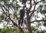 Warga Desa Karang Mekar Kabupaten Bekasi Digegerkan Temuan Mayat Laki-Laki Gantung Diri