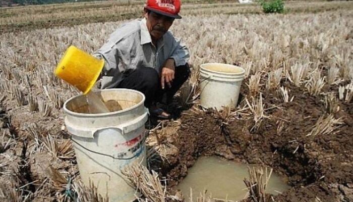 Waspada! Akhir Juni hingga Juli, Pulau Jawa hingga Papua Masuki Musim Kemarau