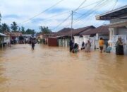 Hujan Deras Melanda Banten, 7 Kelurahan di Tangerang Terendam Banjir