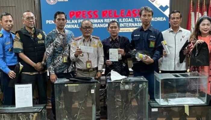 Nekad Mau Selundupkan 94 Ekor Reptil dari Indonesia, Mahasiswi WN Korea Ditangkap Petugas Bandara Soetta