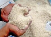 Beras Tak Layak Konsumsi Dijual ke Lapas di Banten dan Jawa Barat