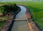 Dinas SDABMBK Kabupaten Bekasi Normalisasi Kali Balong Jati Lancarkan Pasokan Air ke Lahan Pertanian