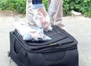 Pemulung Temukan Koper Berisi 50 Kilo Ganja di Sisi Ruas Jalan Tol Jakarta – Merak