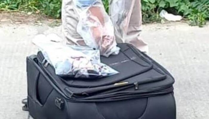 Pemulung Temukan Koper Berisi 50 Kilo Ganja di Sisi Ruas Jalan Tol Jakarta – Merak