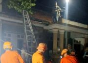 Waspada! Intensitas Curah Hujan Mulai Tinggi, BPBD Minta Warga Tingkatkan Kewaspadaan Pohon Tumbang